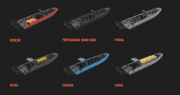 Dodatna slika: TRIDENT T12 - PROFESSIONAL RIB